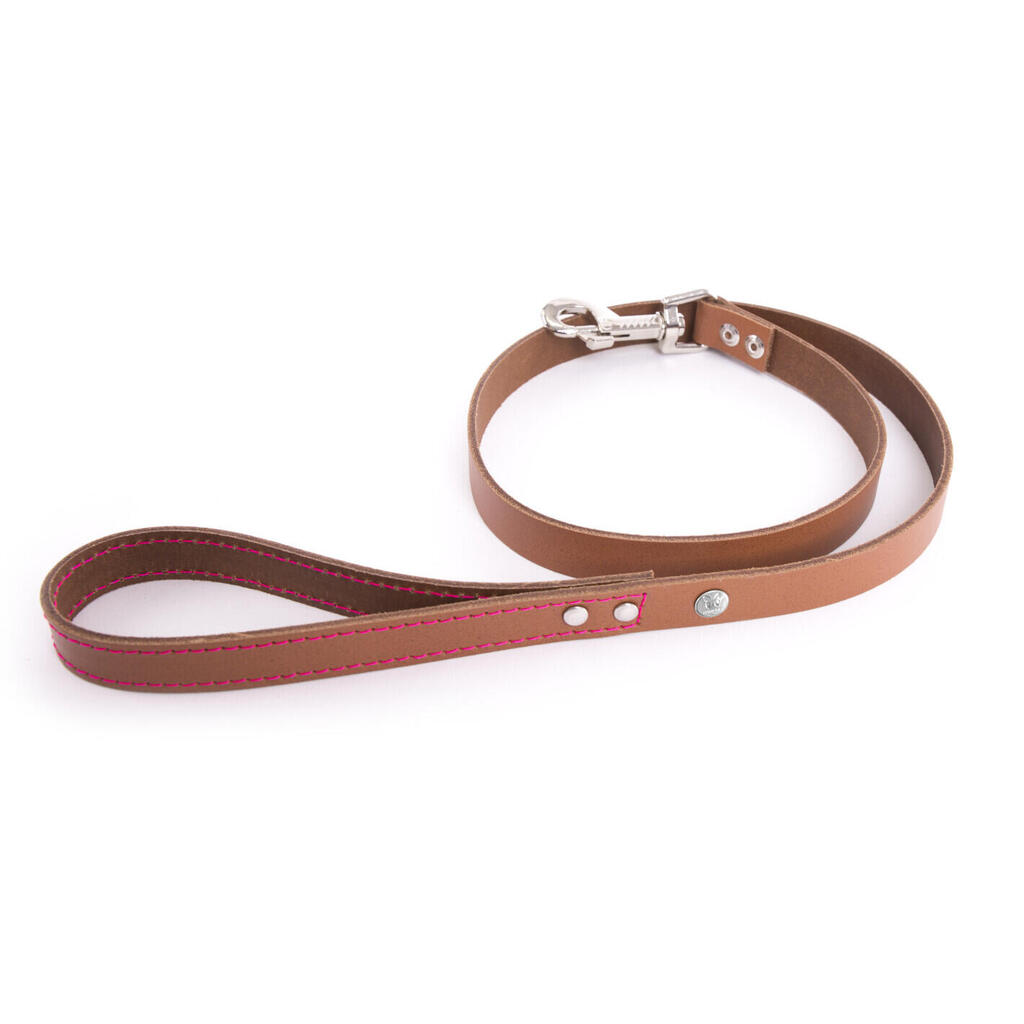 Dog leash Martin Sellier Flash