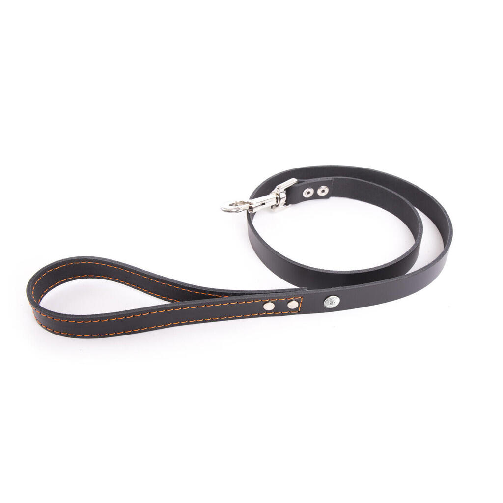 Dog leash Martin Sellier Flash
