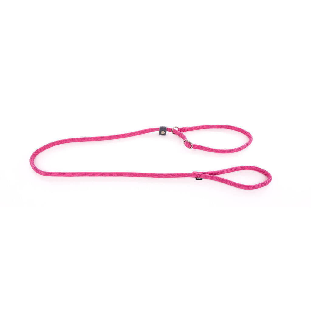 Classic nylon training dog lead Martin Sellier
