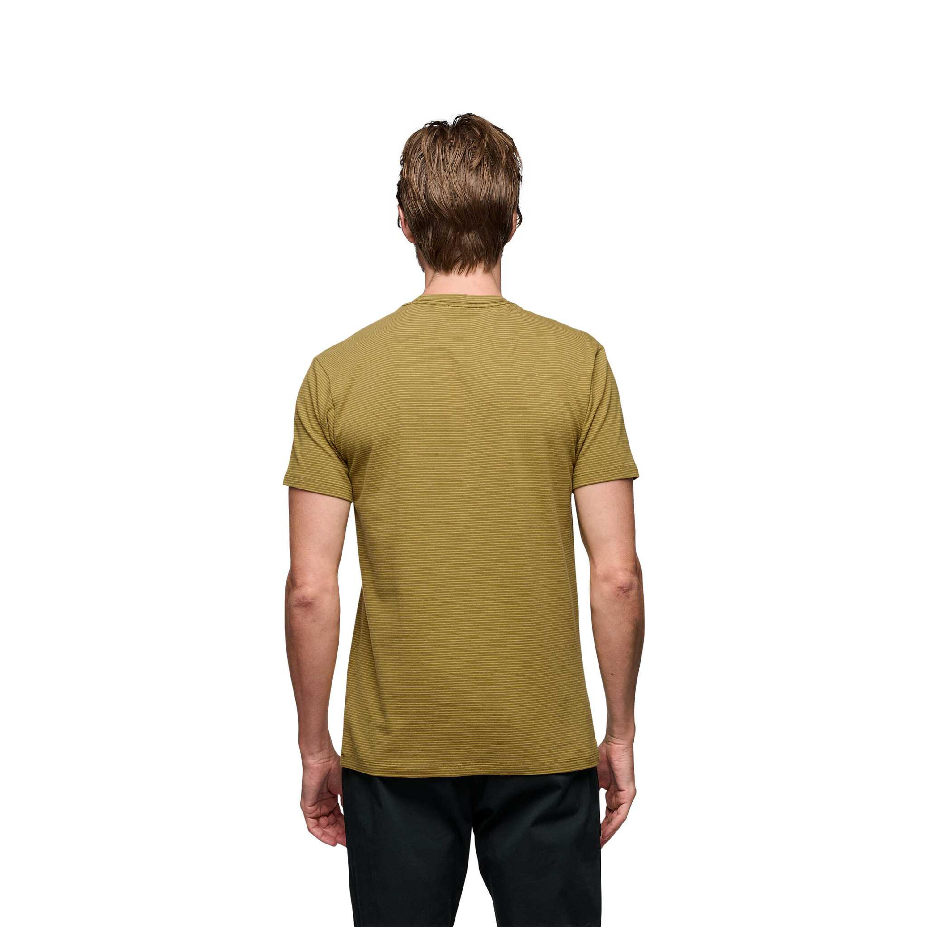 Camiseta Black Diamond BD Stripe 3/4