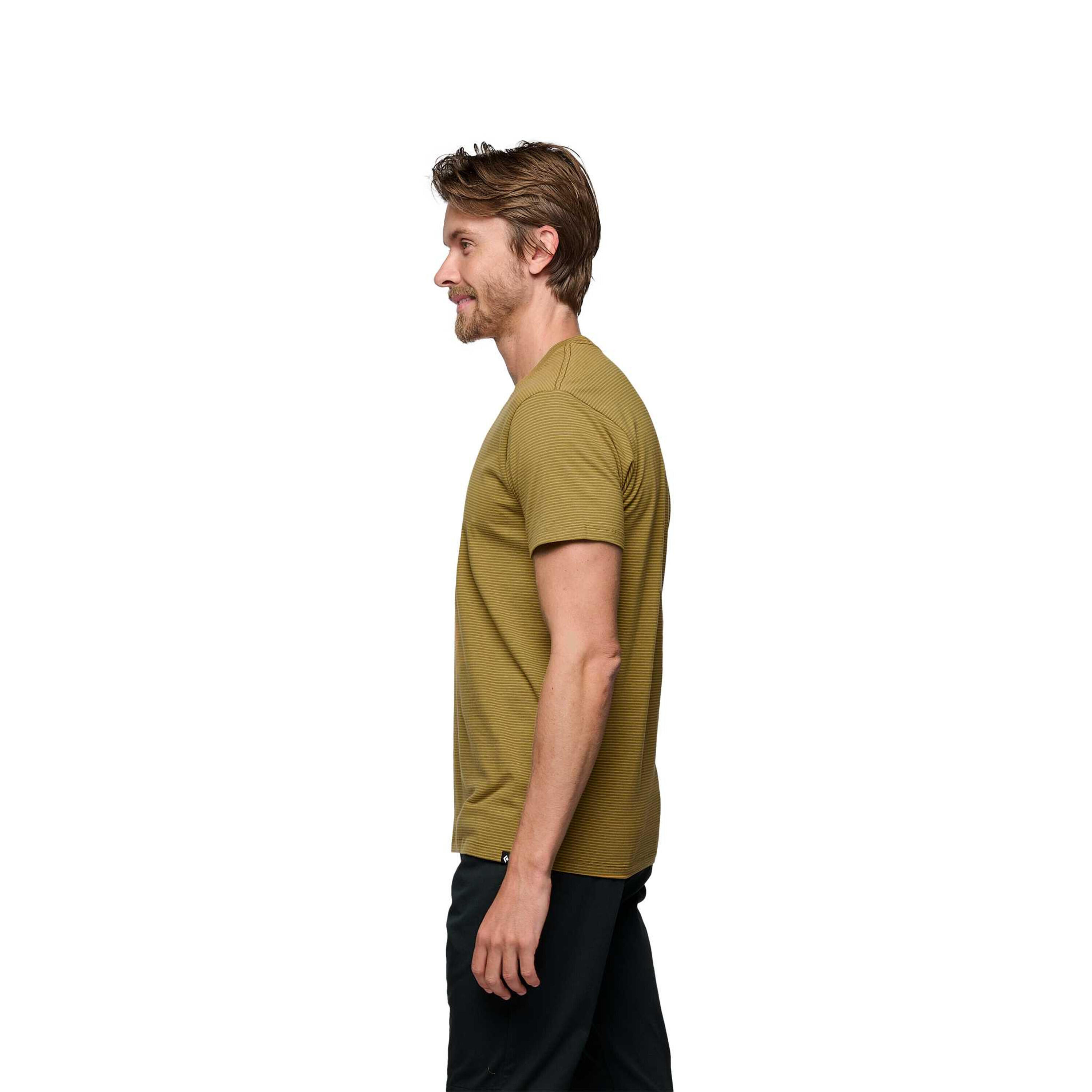 Camiseta Black Diamond BD Stripe 4/4