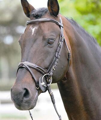 Kopfstütze frontal-licol lackiert + Strasssteine Tattini