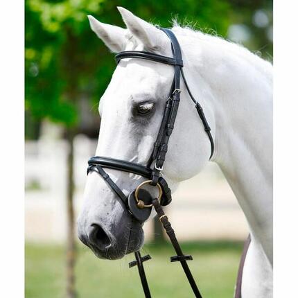 Gepolsterte Stirn-Kopfstütze-Klick Tattini