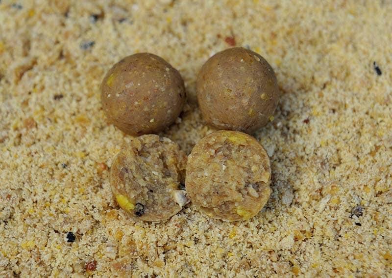 CARP WHISPERER picture