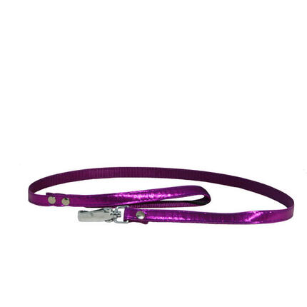 Laisse pour chien Martin Sellier S