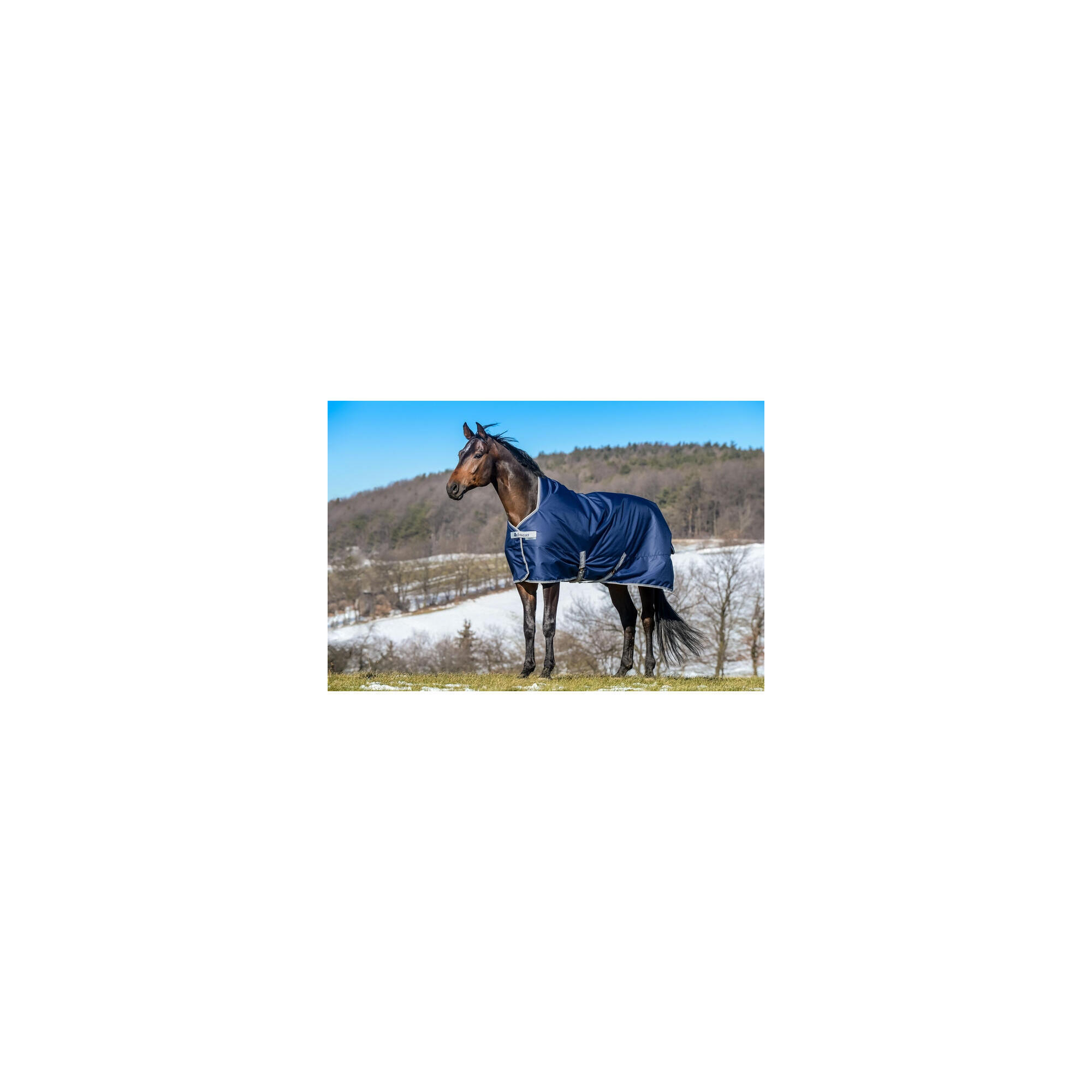 aad79bfe-bc2a-4dbb-a1a3-531e1eed13f2_c5c145c189