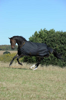 Outdoor paardendeken bucas irish turnout 50g