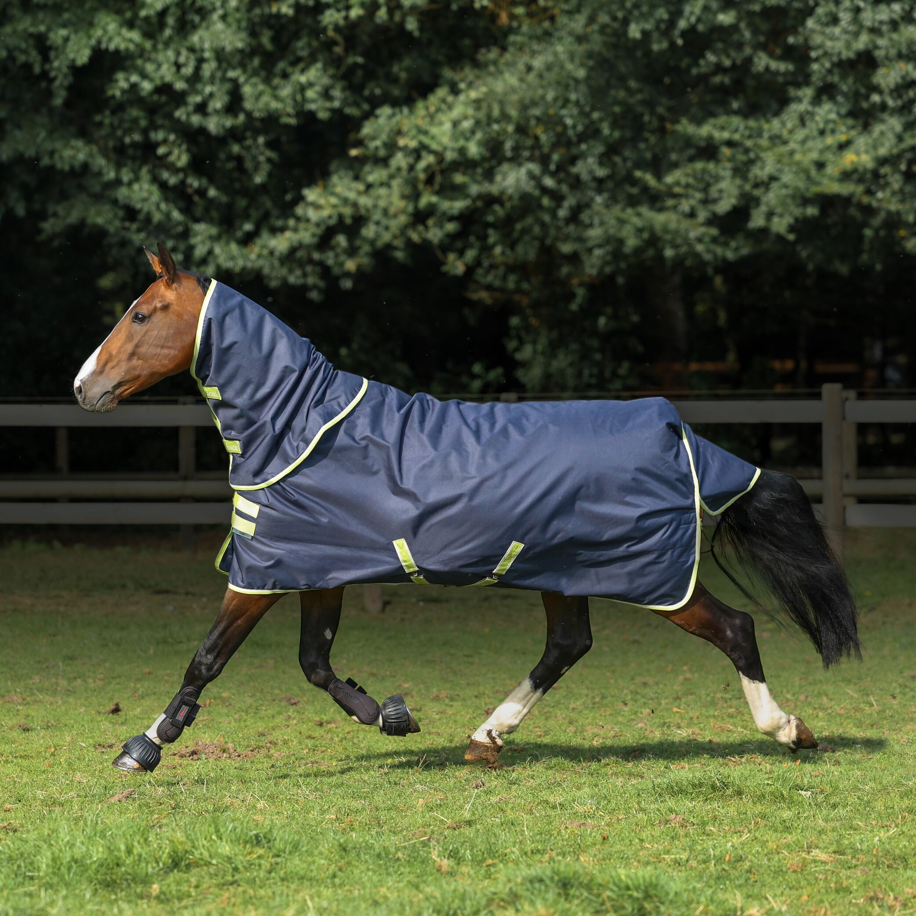 Manta de exterior para caballos con cubrecuello Bucas Oasis Turnout 200g 3/3