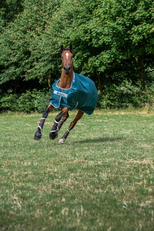 Manta impermeable para caballos Bucas Atlantic Turnout 50g 2/4