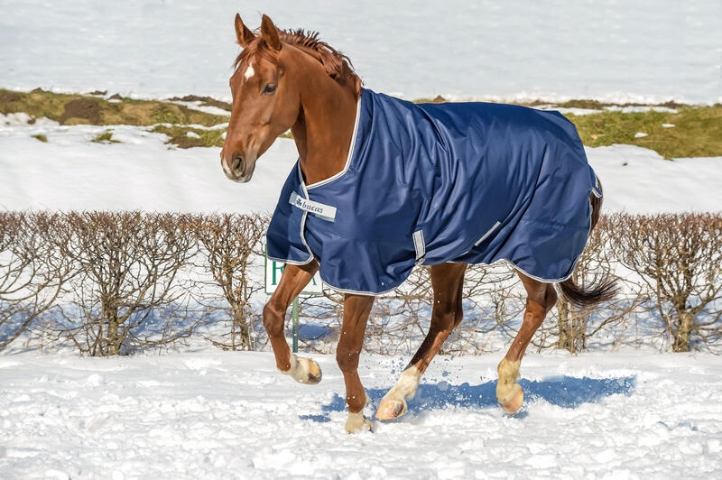 Couverture d'extérieur pour cheval Bucas Freedom Turnout Light 2/3