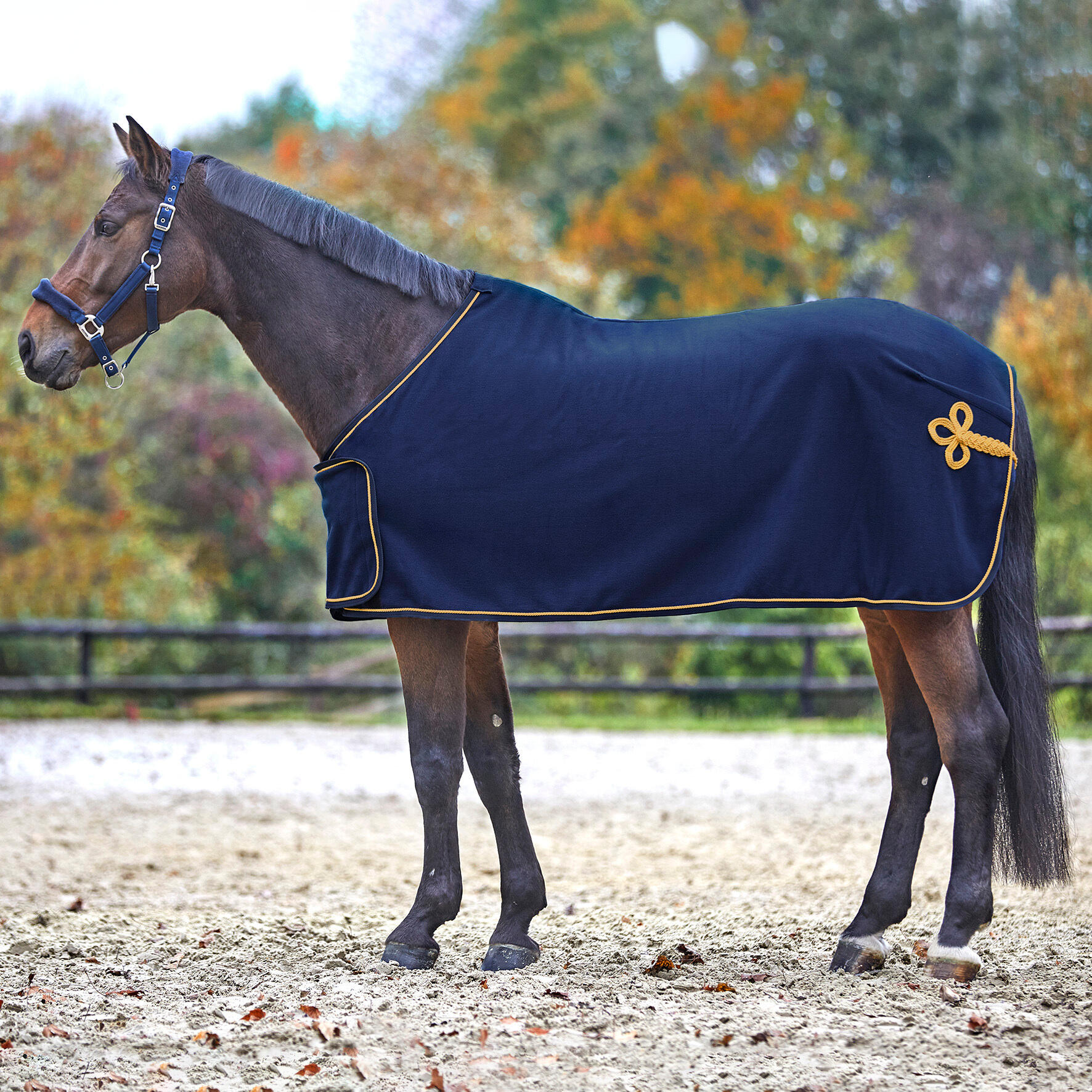 Manta polar para caballos Waldhausen Sponsor 2/3