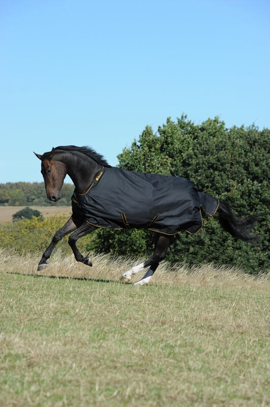 BUCAS picture