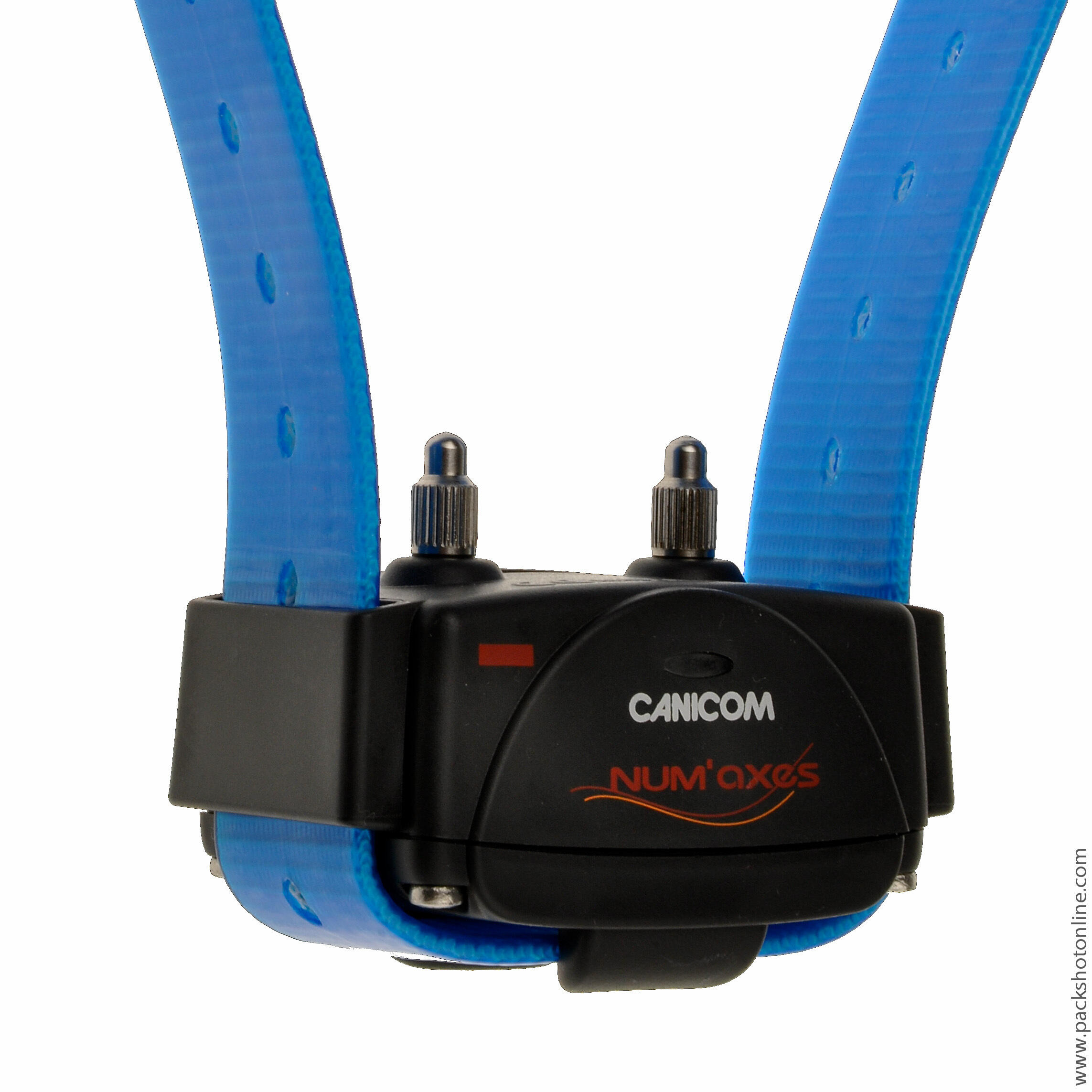 Collier de dressage seul pour chien avec sangle Num'axes Canicom 2/3