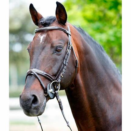 Kopfstütze frontal-licol lackiert + Strasssteine Tattini