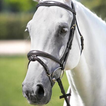 Bridons équitation en cuir Tattini