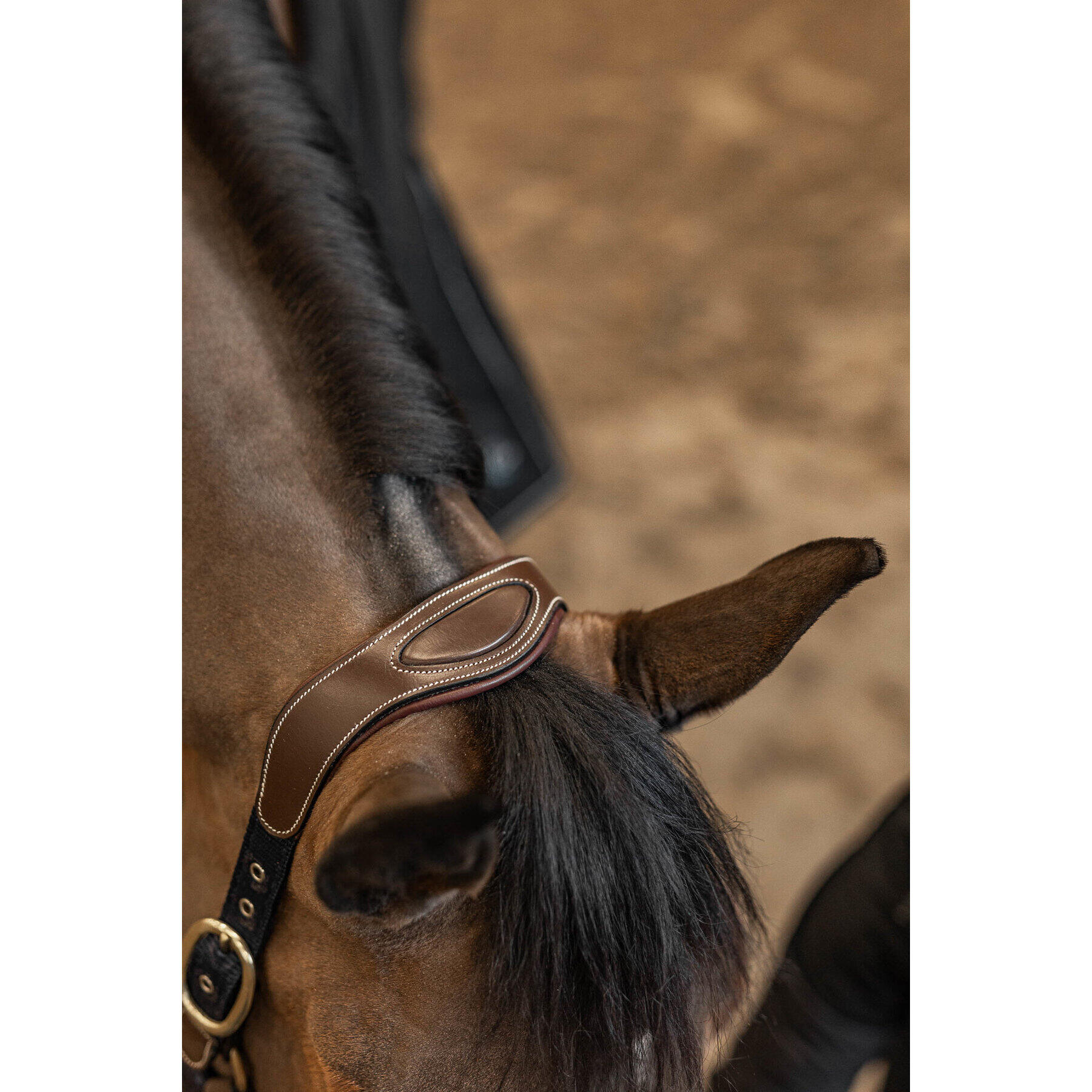 Cabestro de cuero y nylon para caballos HFI Mixed 2/6
