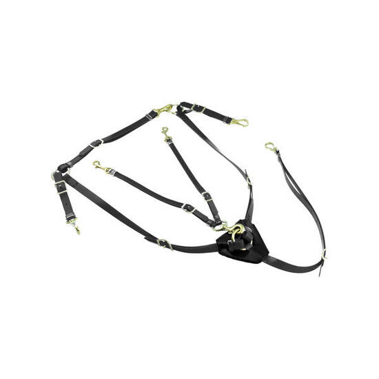 Collier de chasse avec martingale en biothane Lakota