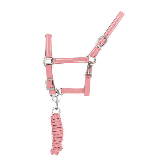 Reflektierendes Nylonhalfter und Führstrick für Pferde Supreme