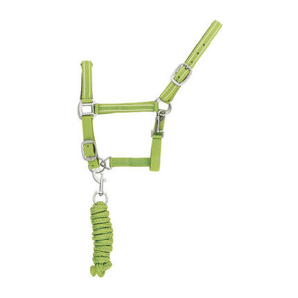 Reflektierendes Nylonhalfter und Führstrick für Pferde Supreme