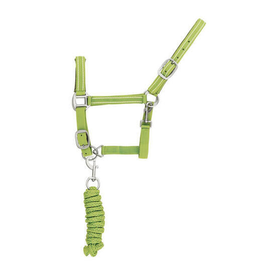 Reflektierendes Nylonhalfter und Führstrick für Pferde Supreme