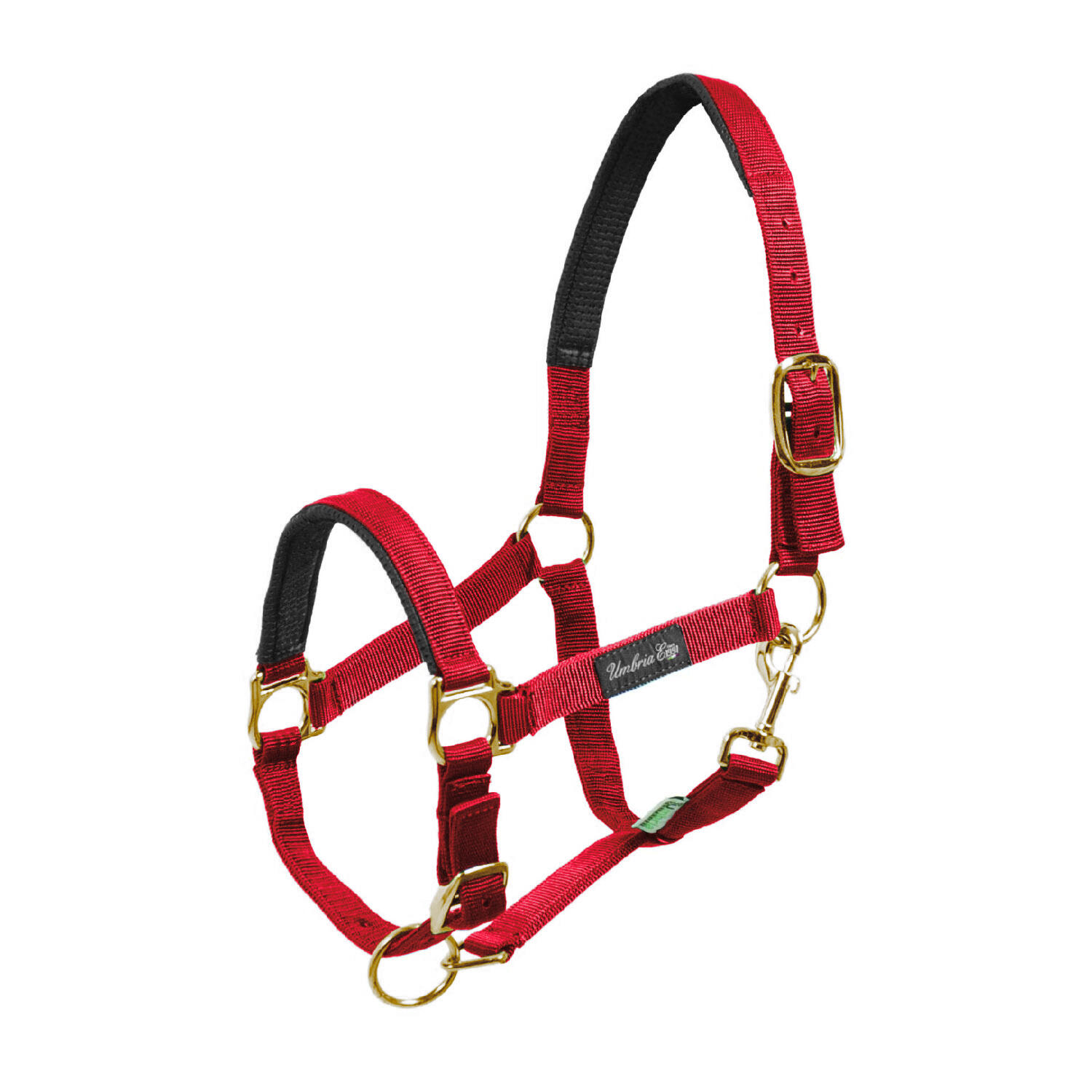 Umbria Equitazione - Licol Pour Cheval En Nylon Avec Renfort En Néoprène Umbria Equitazione - Licol - Rouge - Cob - Decathlon
