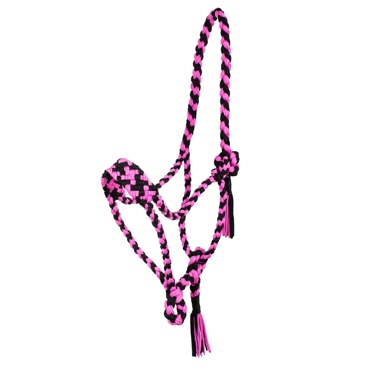 Pool's - Licol Pour Cheval En Nylon Tréssé Pool's - Licol - Noir|rose - No Size - Decathlon