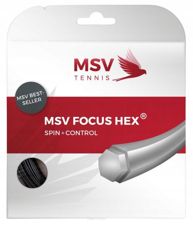 MSV TENNIS picture