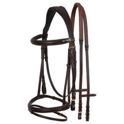 Bridons équitation anatomique pour cheval modèle rembourré classique Supreme