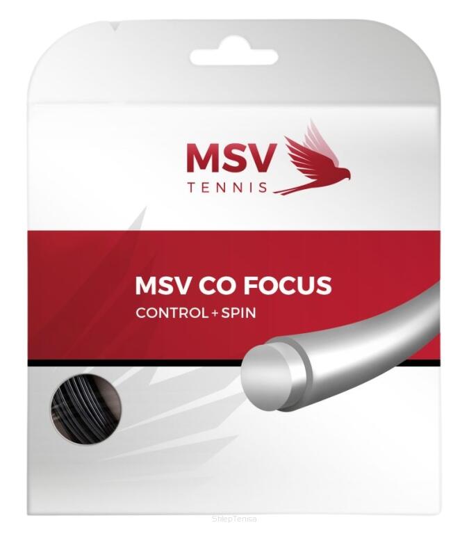 MSV TENNIS picture