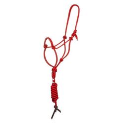 Licol en corde nouée avec laisse