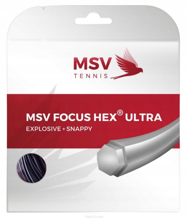 MSV TENNIS picture