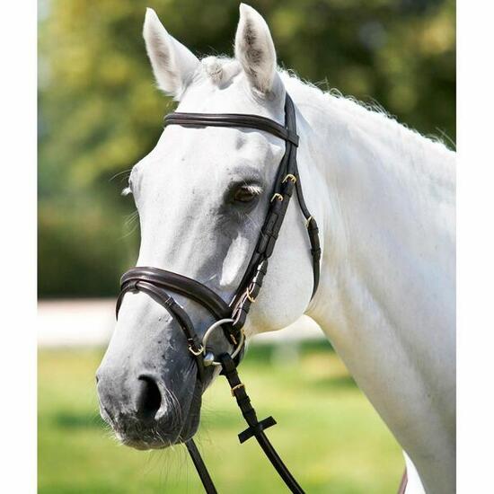 Kopfstütze frontal Form Tattini