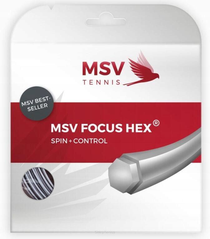 MSV TENNIS picture
