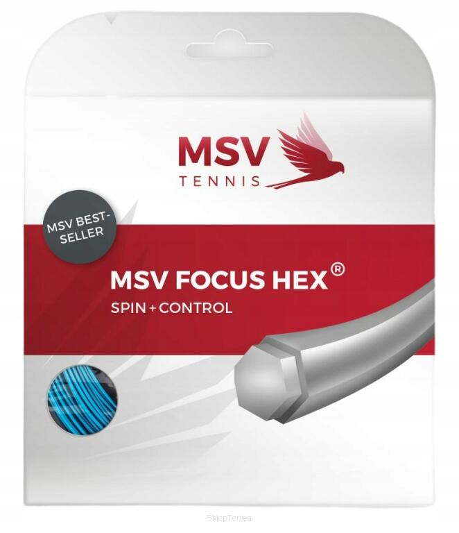 MSV TENNIS picture