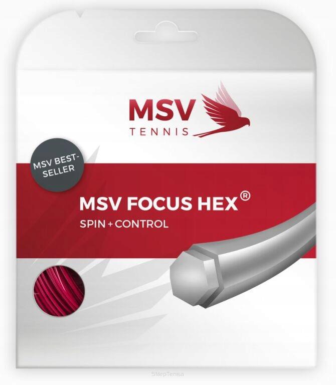 MSV TENNIS picture