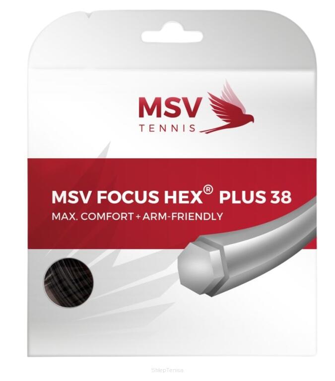 MSV TENNIS picture
