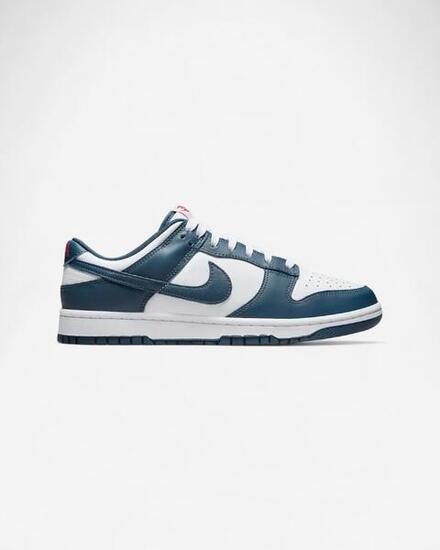 Nike Dunk Low Valerian Blue
