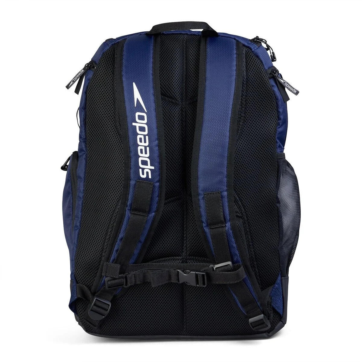 Zaino Speedo Teamster 2.0 2/6