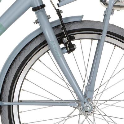 Alpina voorvork 20 cargo m dream blue matt