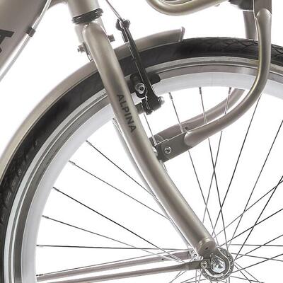 Alpina voorvork 26 clubb gold met matt