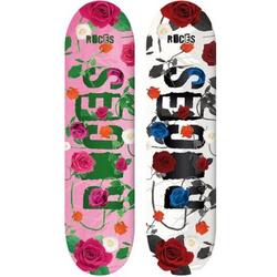 Skateboard Roces