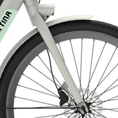 Cortina voorvork e-nite metallic silver matt