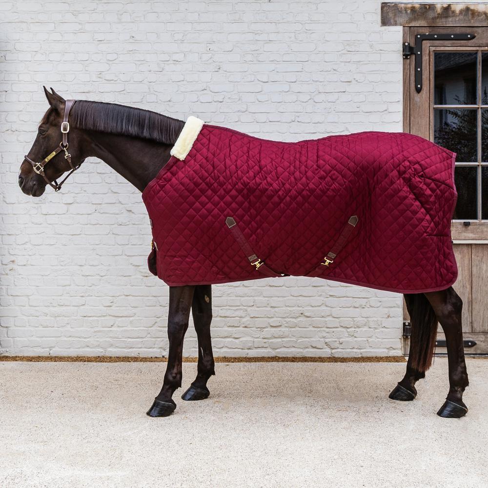 Manta estável para cavalos Kentucky Horsewear 400g 3/5