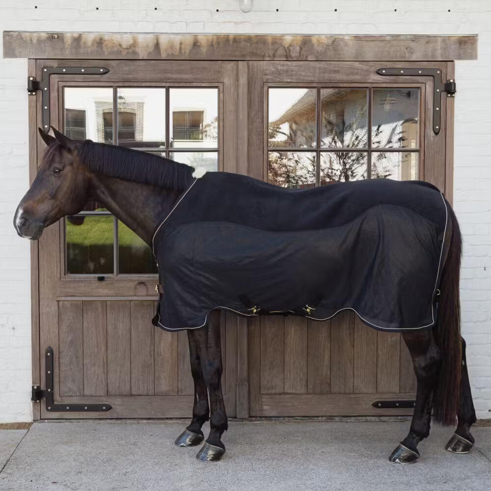 Coperta per cavalli Kentucky Horsewear 250g 2/4