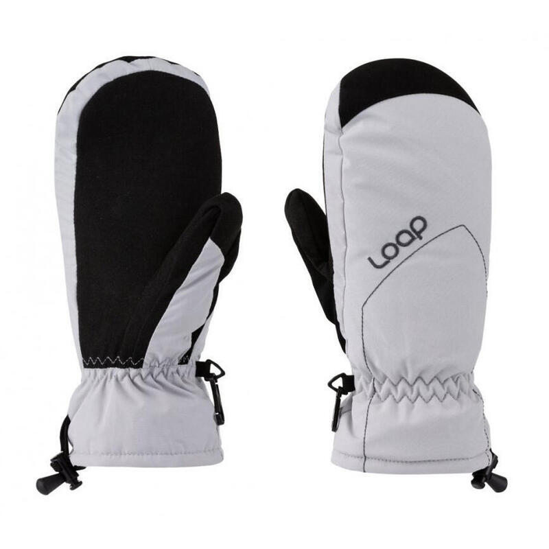 e3234228-683e-43ae-b0c6-ad50bd7780e4_c251c1