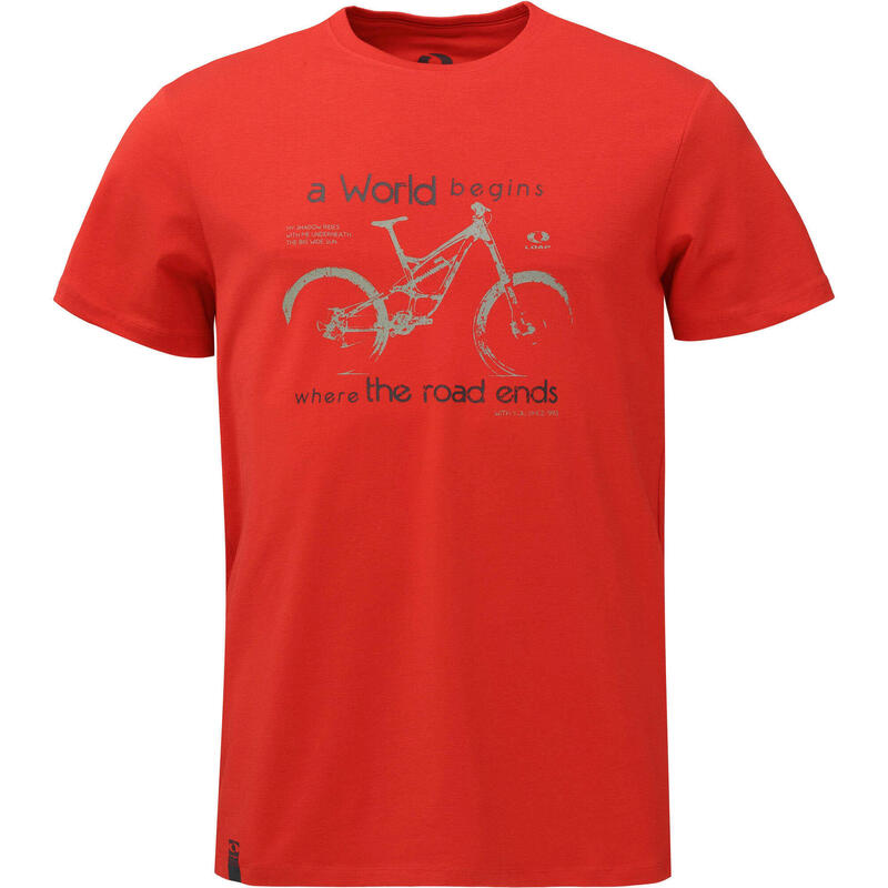 b520c57b-d835-42f6-9c01-3fb0e716b2a3_c14