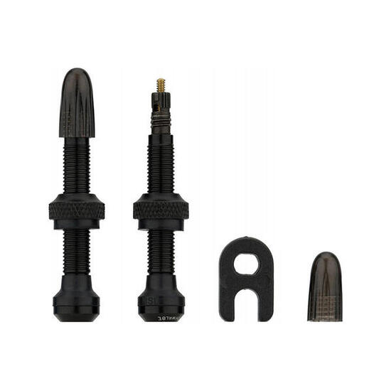 Set di valvole Schwalbe Tubeless (x2)