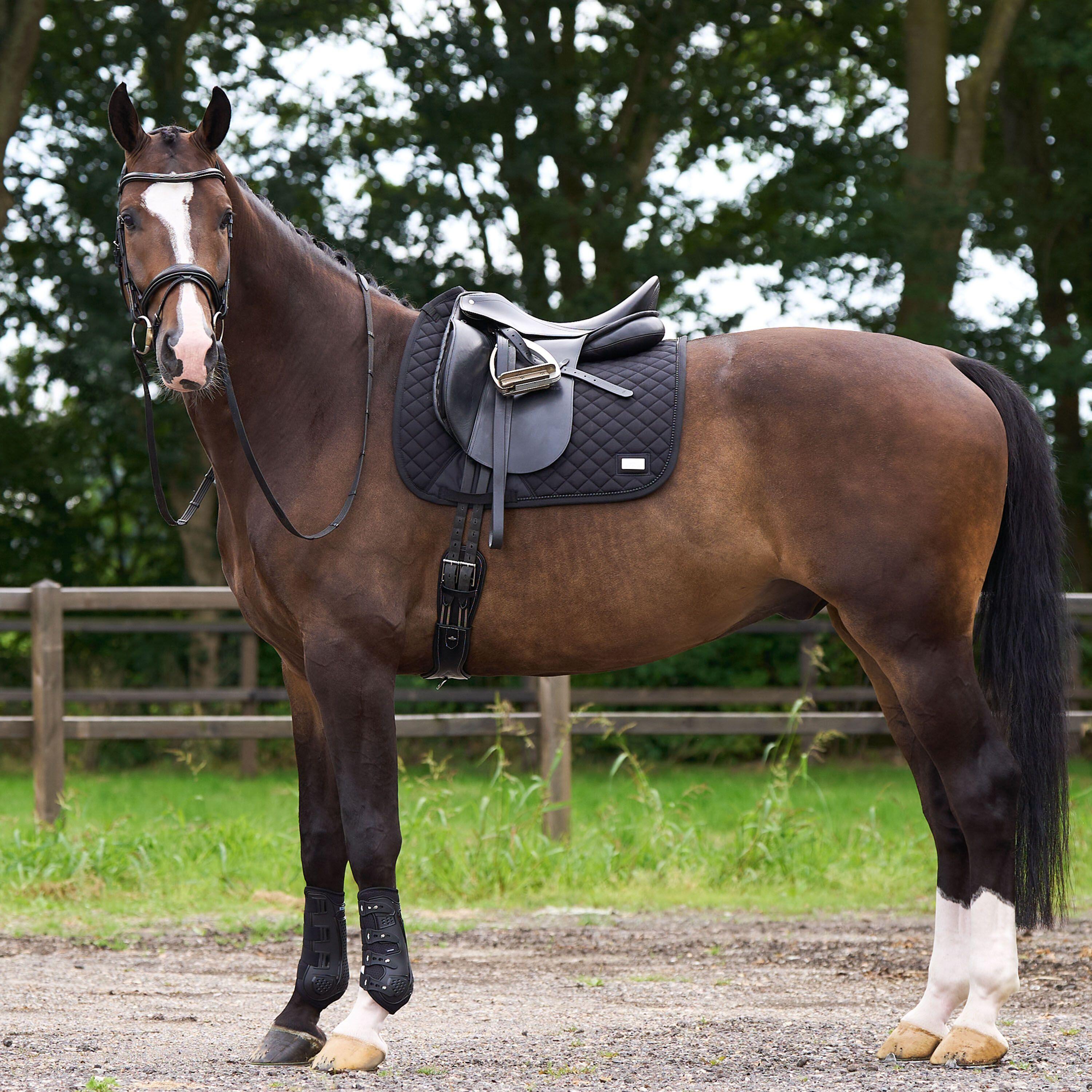 Sottosella dressage HV Polo Pro performance GP 3/3
