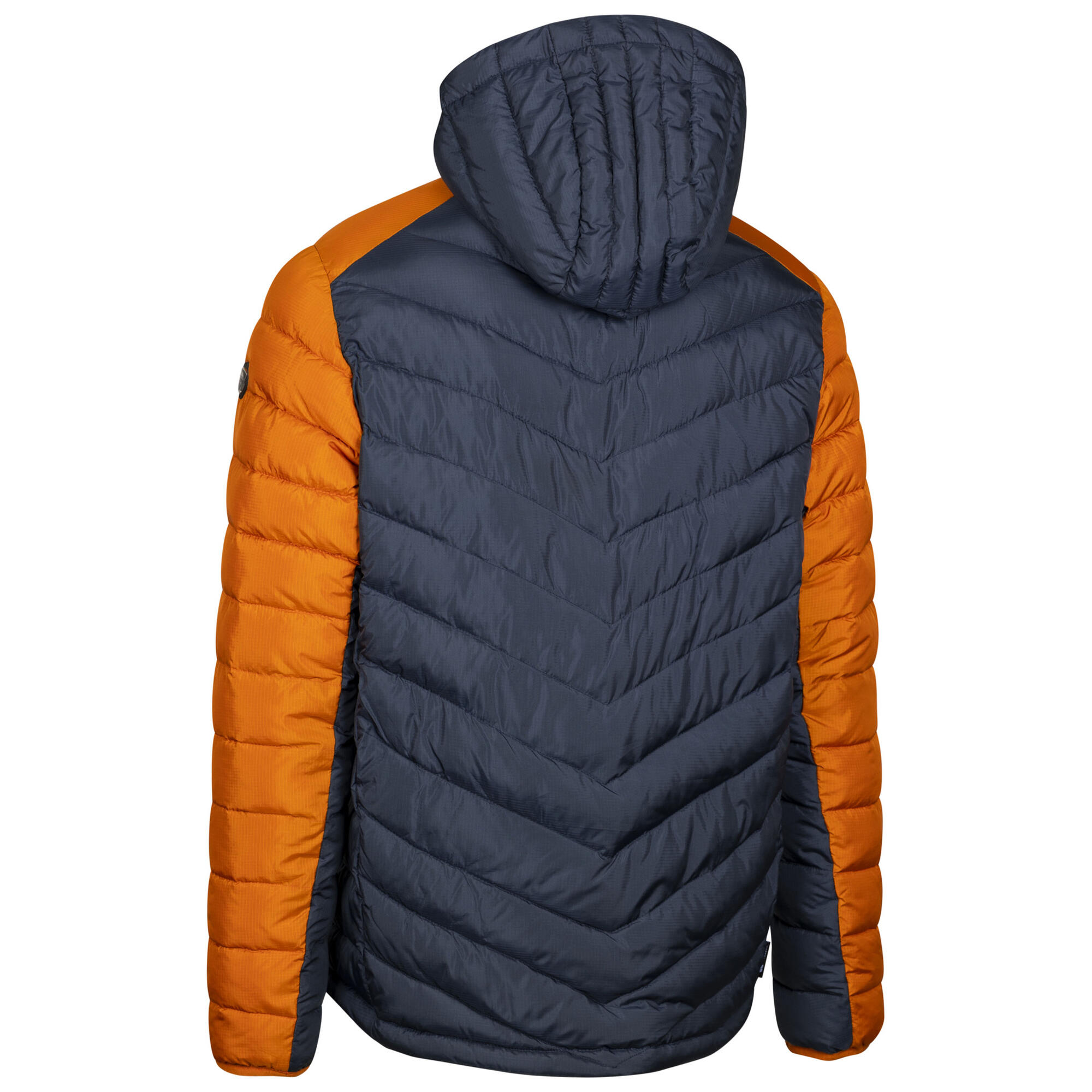 Veste Matelassée ERISKA Homme (Gris Foncé) 2/5