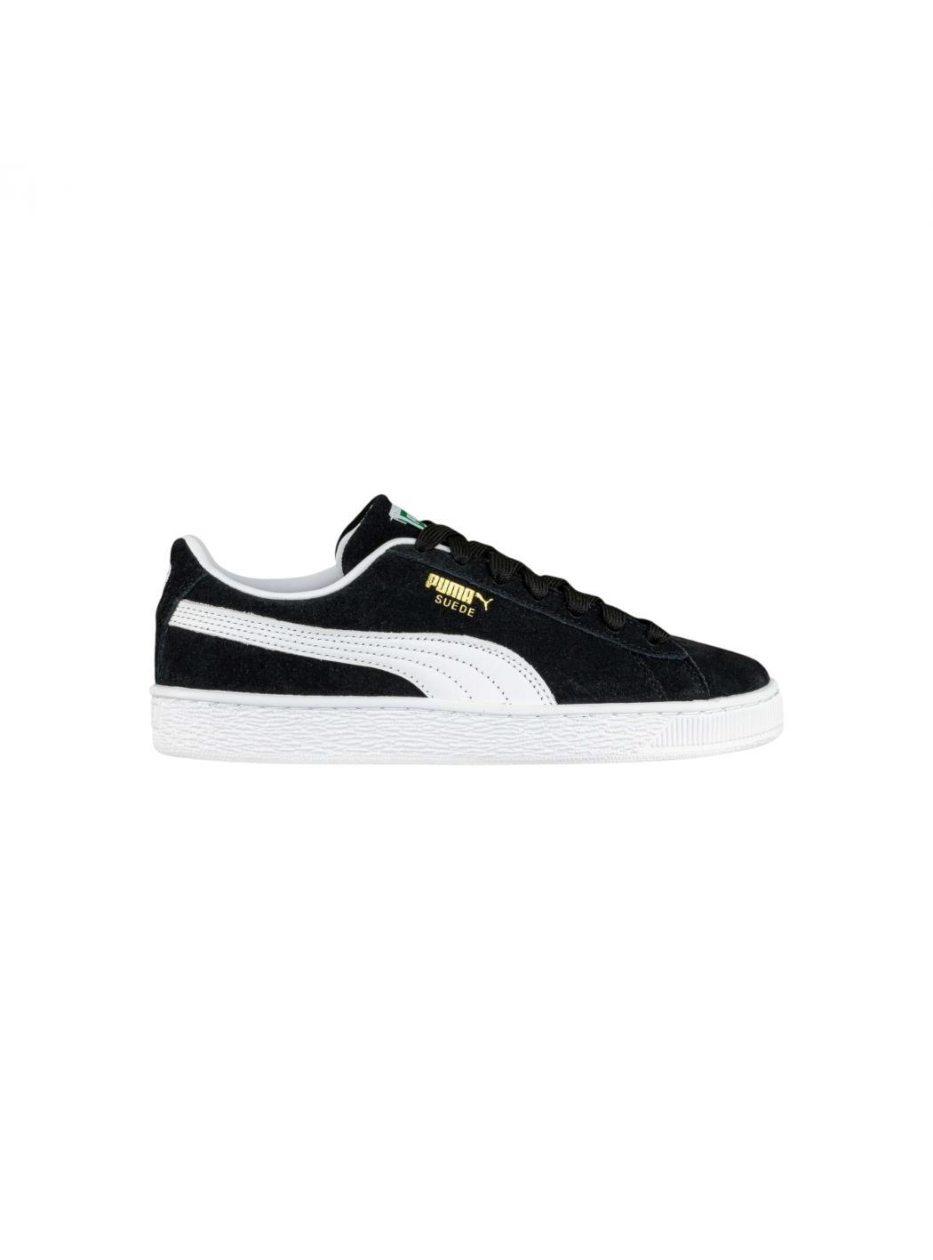 PUMA picture